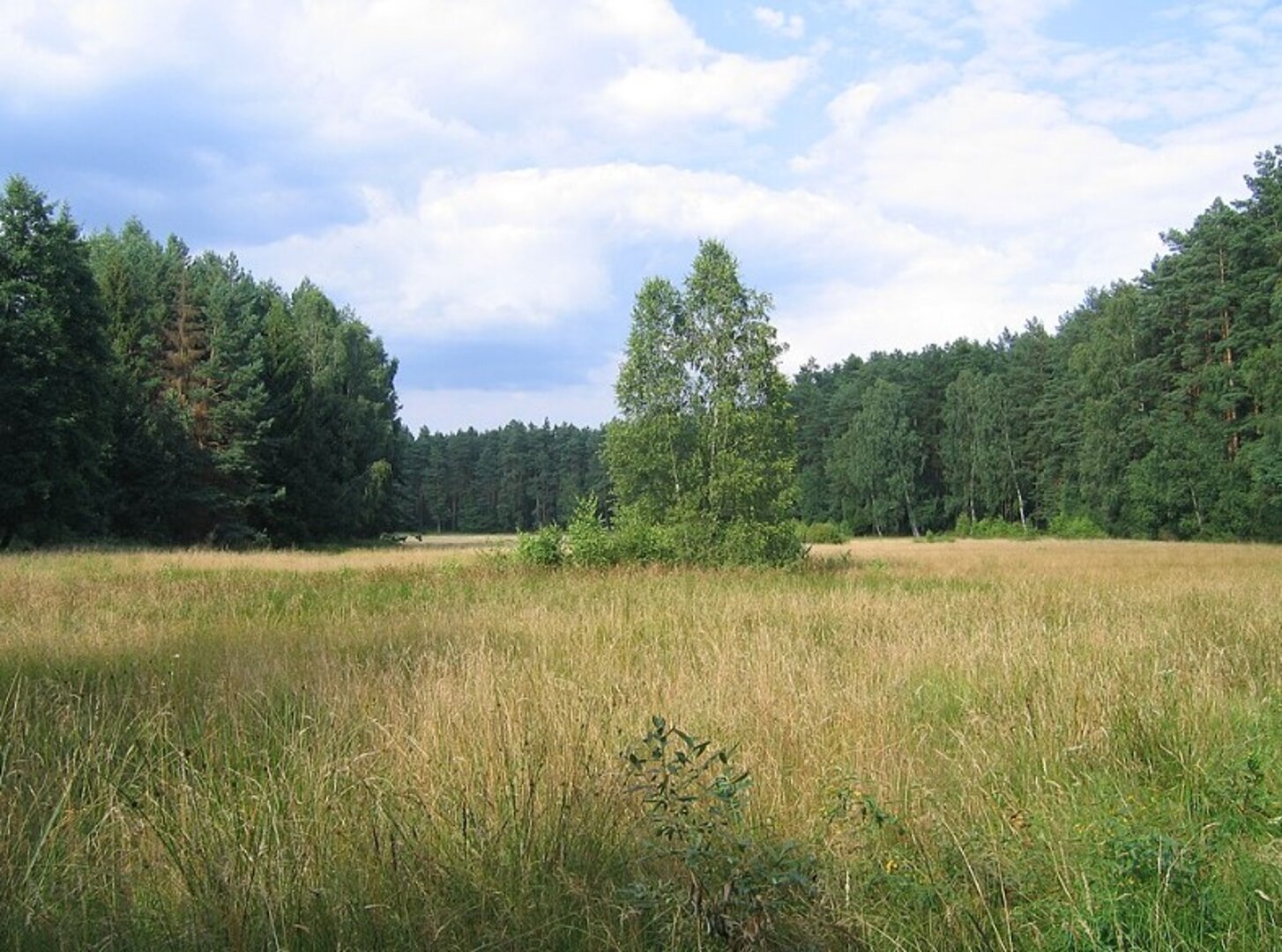 Park Krajobrazowy Brodnicki