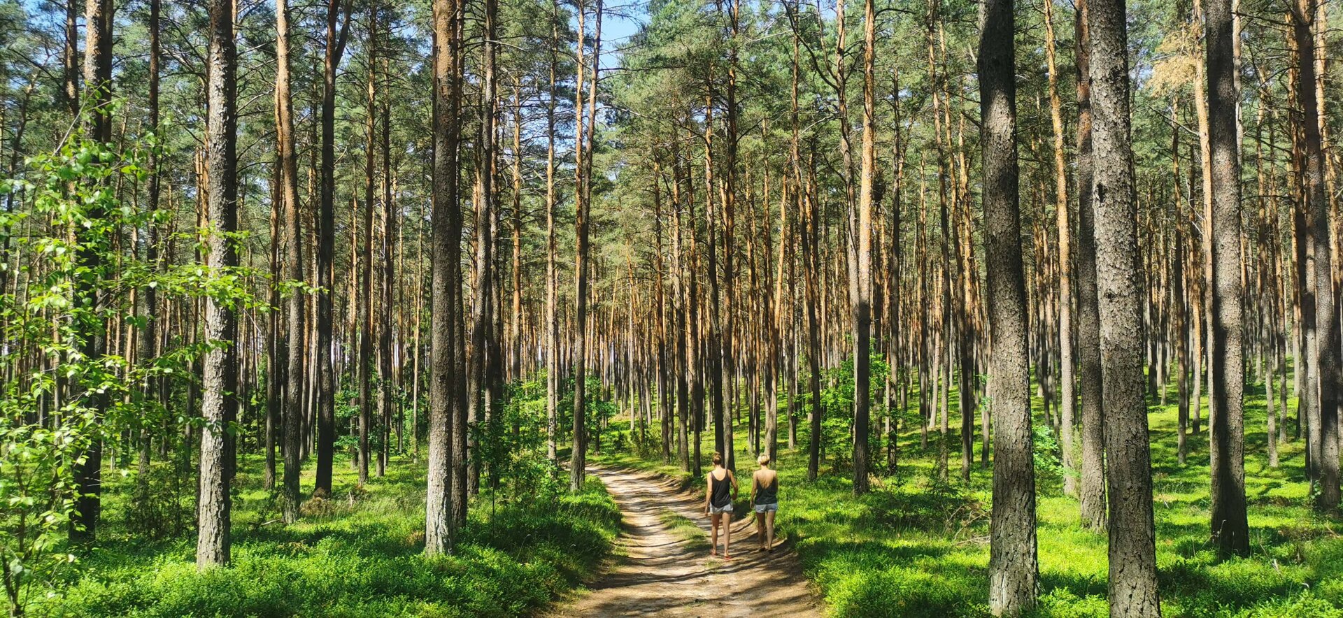 Spacer w lesie z rodziną