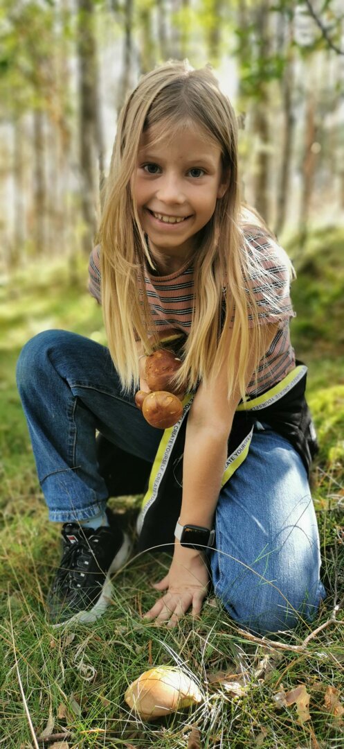 Zbieranie grzyb&oacute;w w lesie przez dziecko