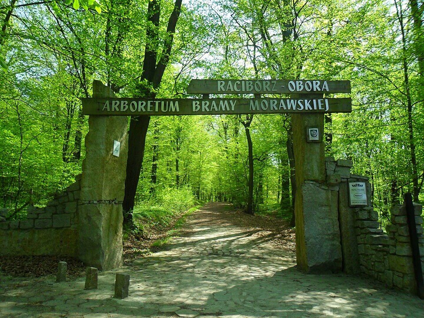 Arboretum Bramy Morawskiej w Raciborzu