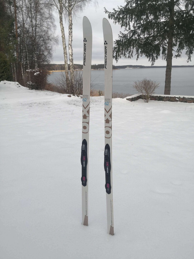 Narty zimą w Borach Tucholskich