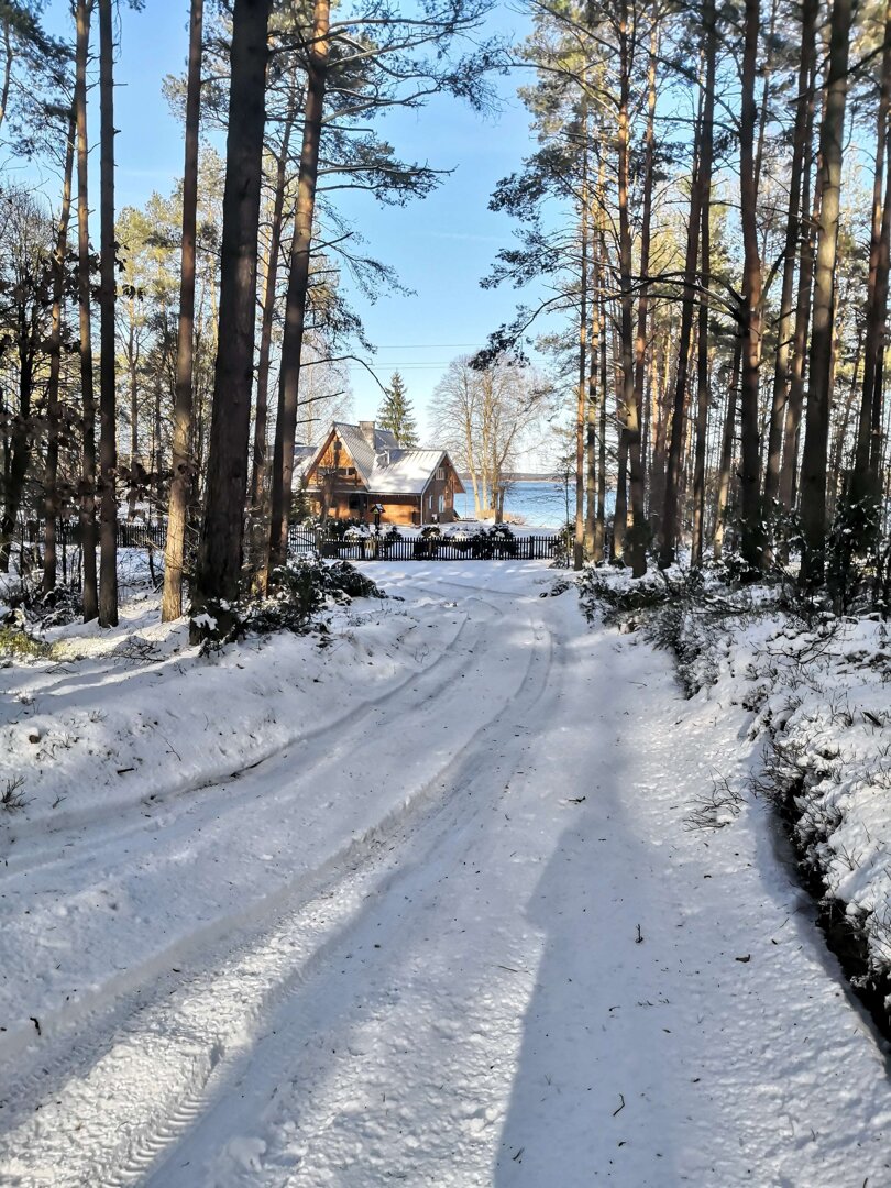 Las zimą w Borach Tucholskich