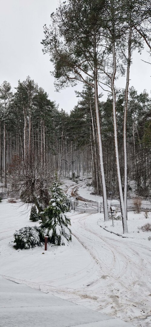 Trasy na narty biegowe w Borach Tucholskich
