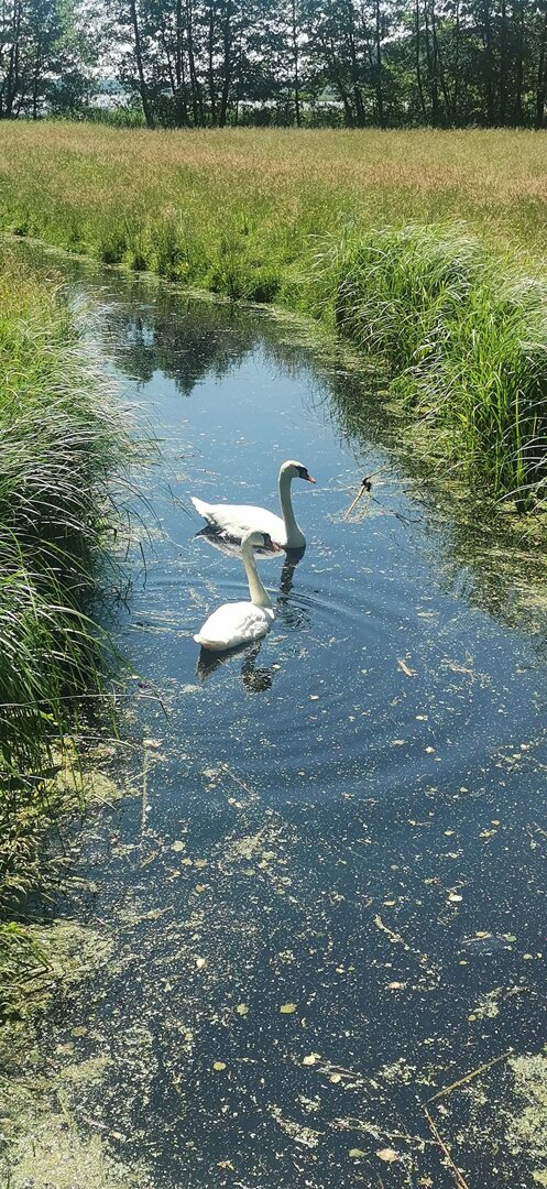 Urlop blisko natury w Borach Tucholskich