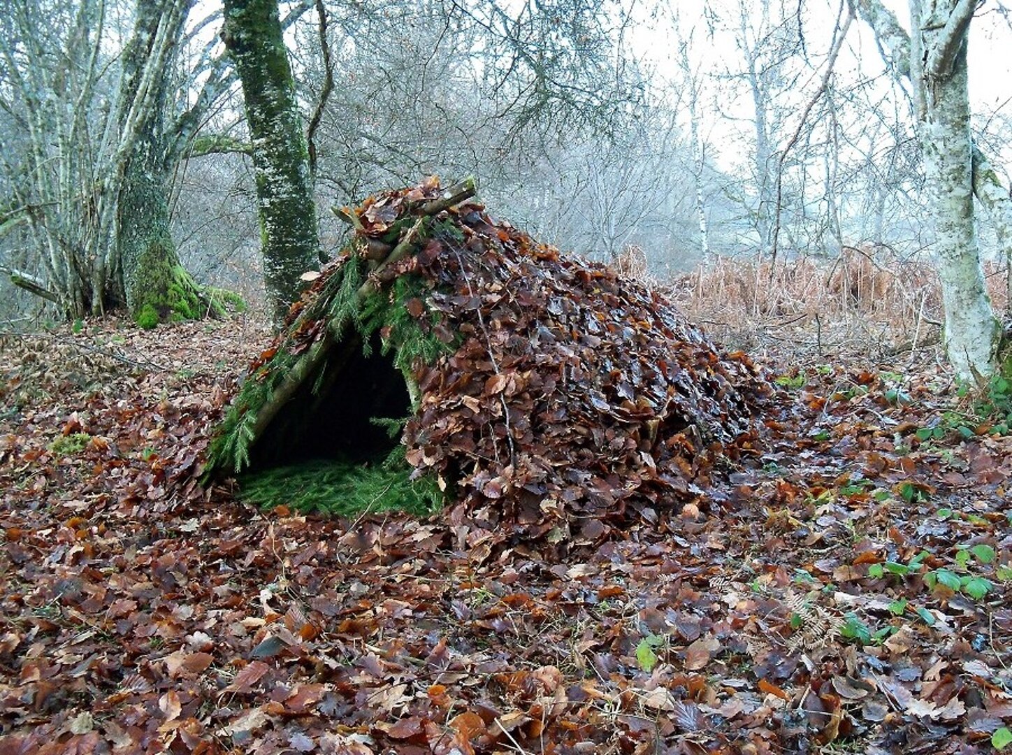 Szałas zbudowany w lesie